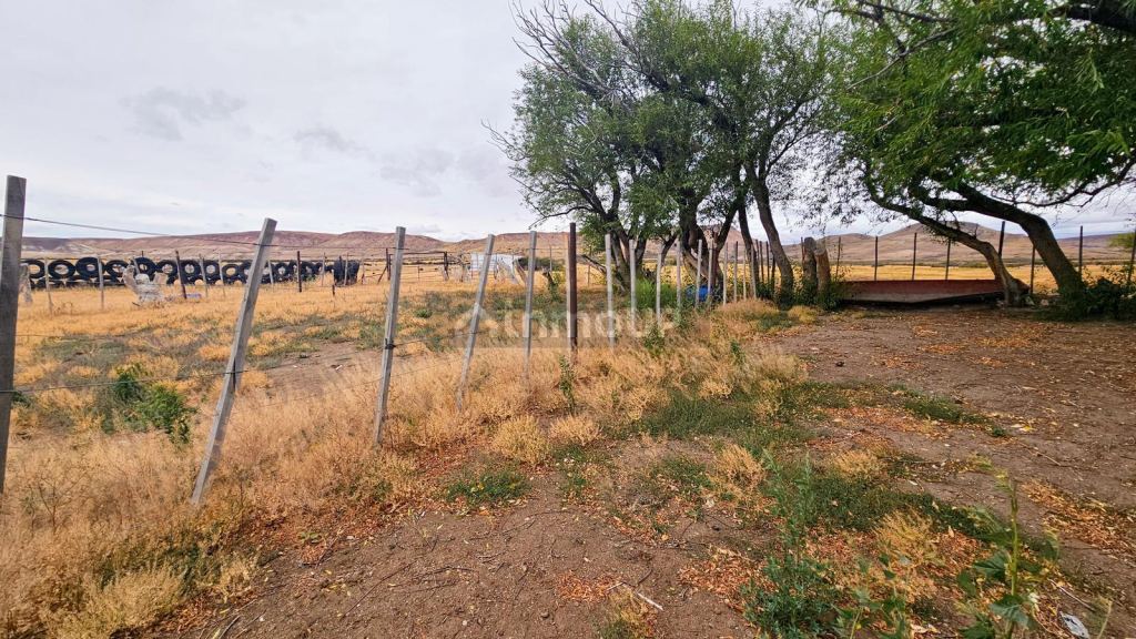 Campo en Venta en Deseado, Santa Cruz