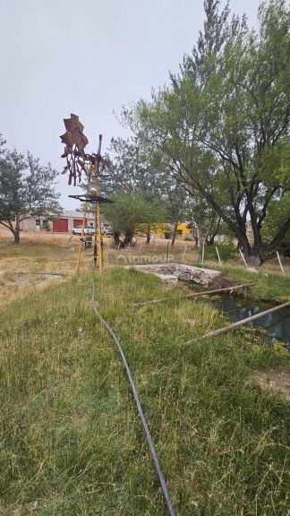 Campo en Venta en Deseado, Santa Cruz