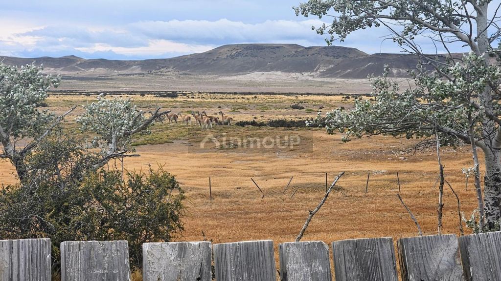 Campo en Venta en Deseado, Santa Cruz