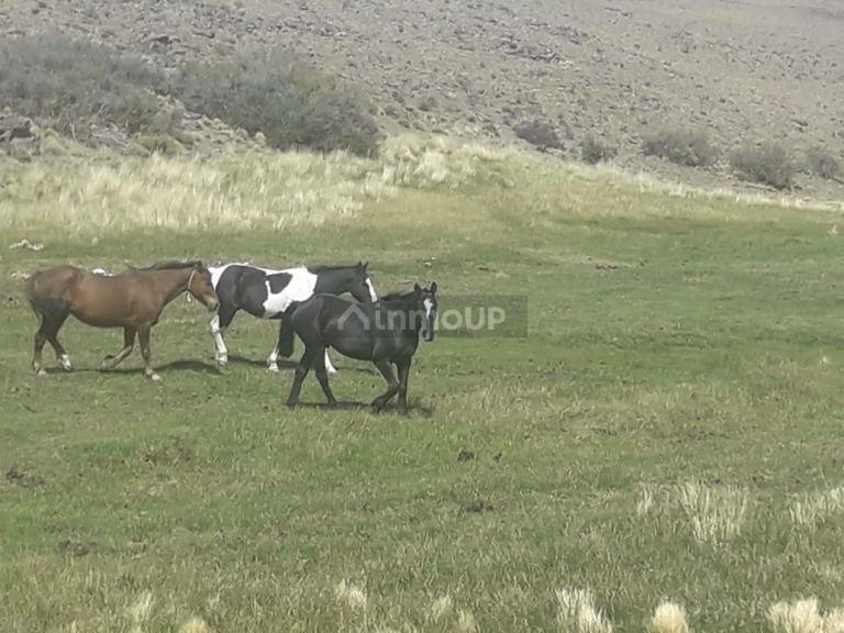 Campo en Venta en Deseado, Santa Cruz