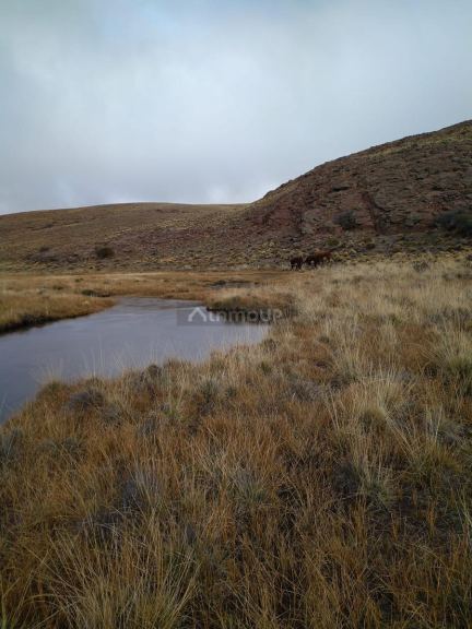 Campo en Venta en Deseado, Santa Cruz
