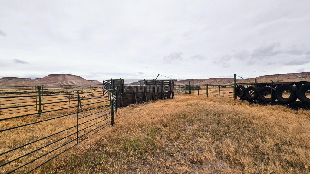 Campo en Venta en Deseado, Santa Cruz