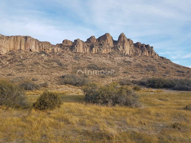 Campo en Venta en Deseado, Santa Cruz