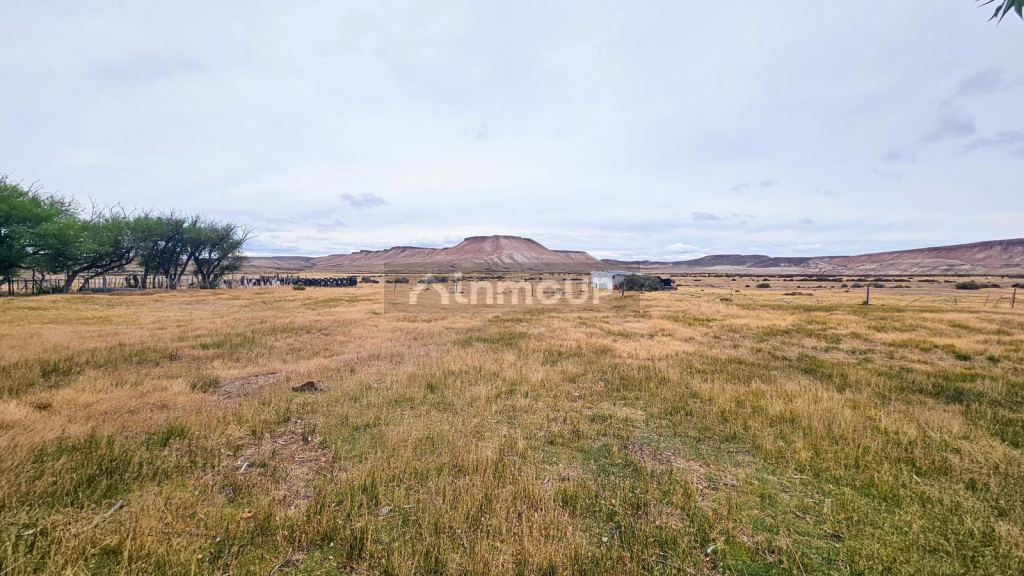 Campo en Venta en Deseado, Santa Cruz