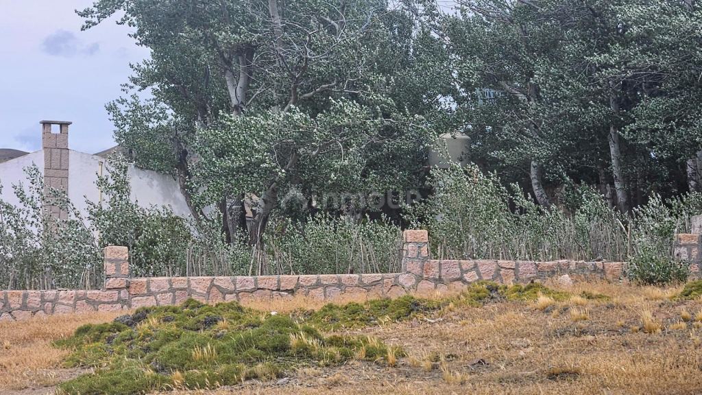 Campo en Venta en Deseado, Santa Cruz