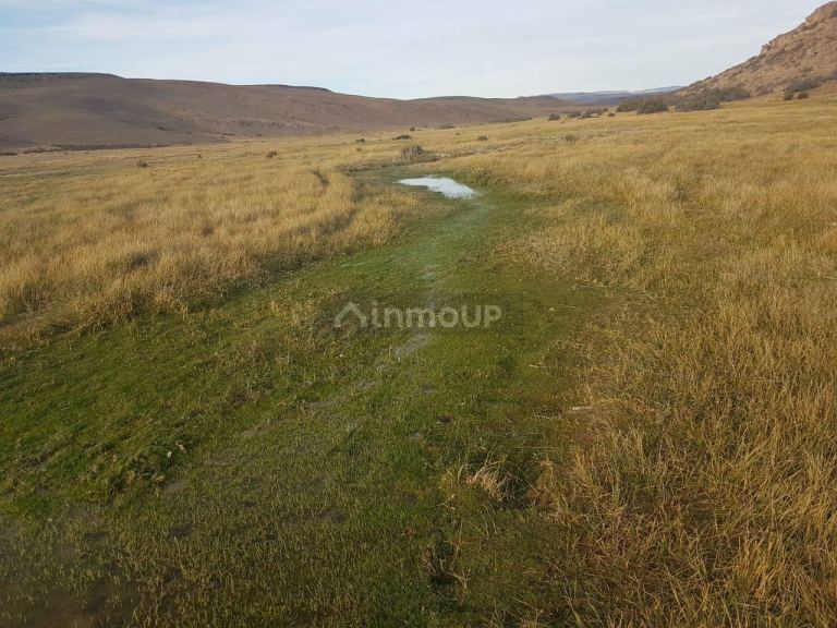 Campo en Venta en Deseado, Santa Cruz