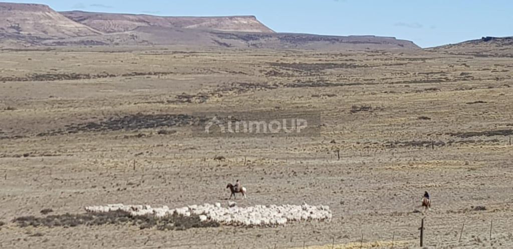 Campo en Venta en Deseado, Santa Cruz