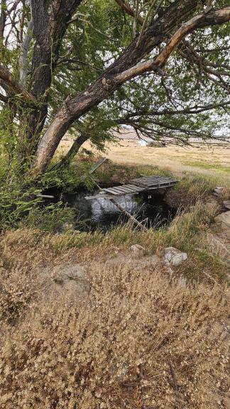 Campo en Venta en Deseado, Santa Cruz