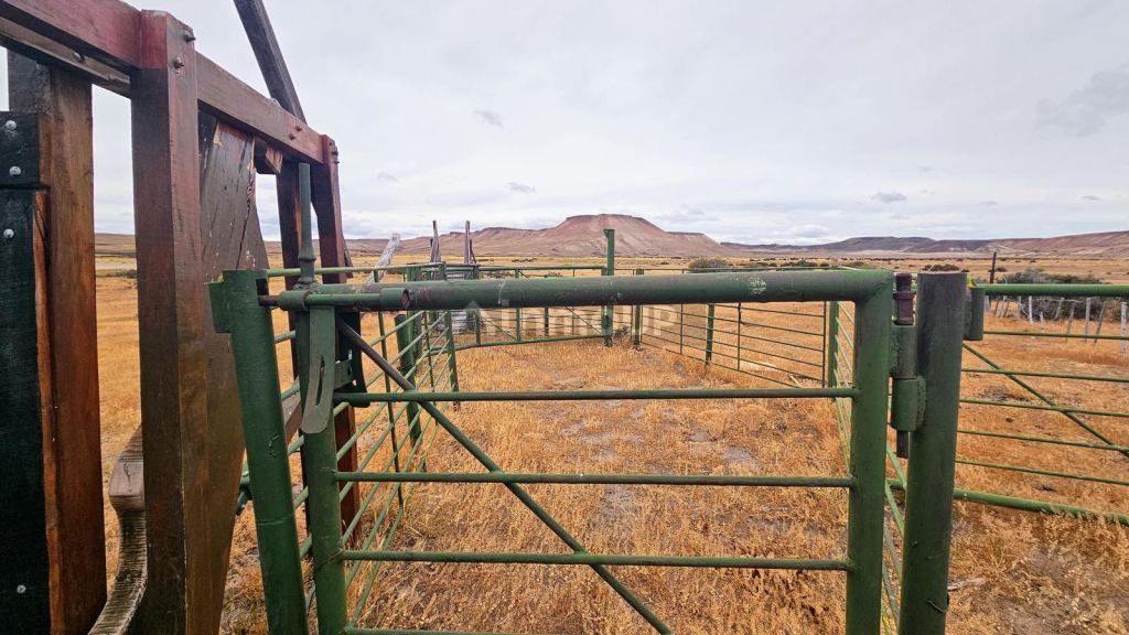 Campo en Venta en Deseado, Santa Cruz