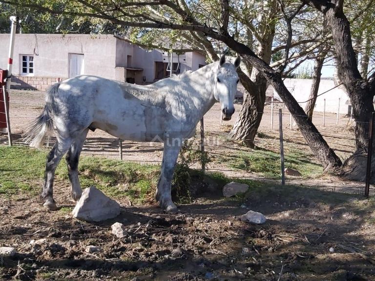 Campo en Venta en Deseado, Santa Cruz