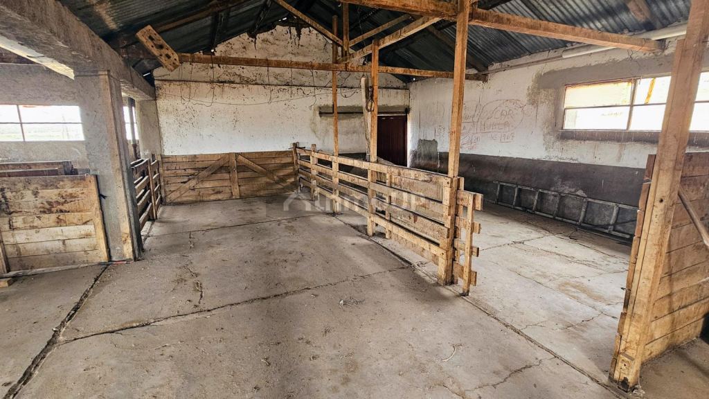 Campo en Venta en Deseado, Santa Cruz