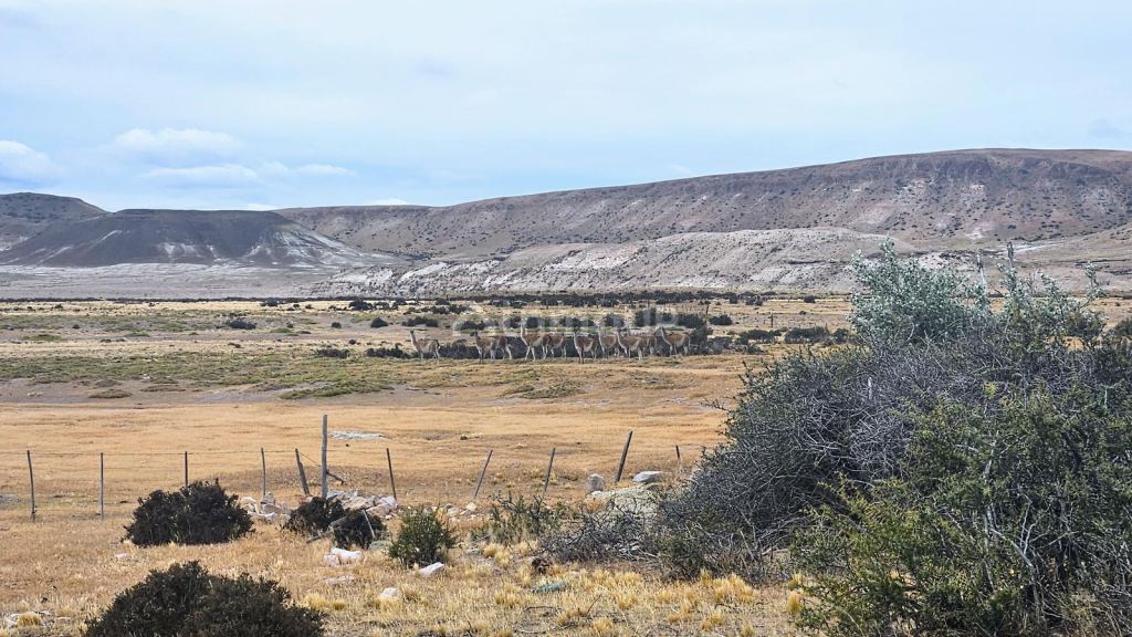 Campo en Venta en Deseado, Santa Cruz
