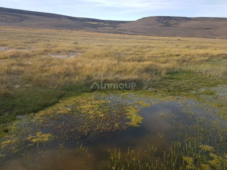 Campo en Venta en Deseado, Santa Cruz