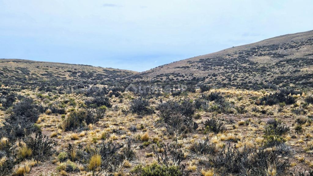 Campo en Venta en Deseado, Santa Cruz
