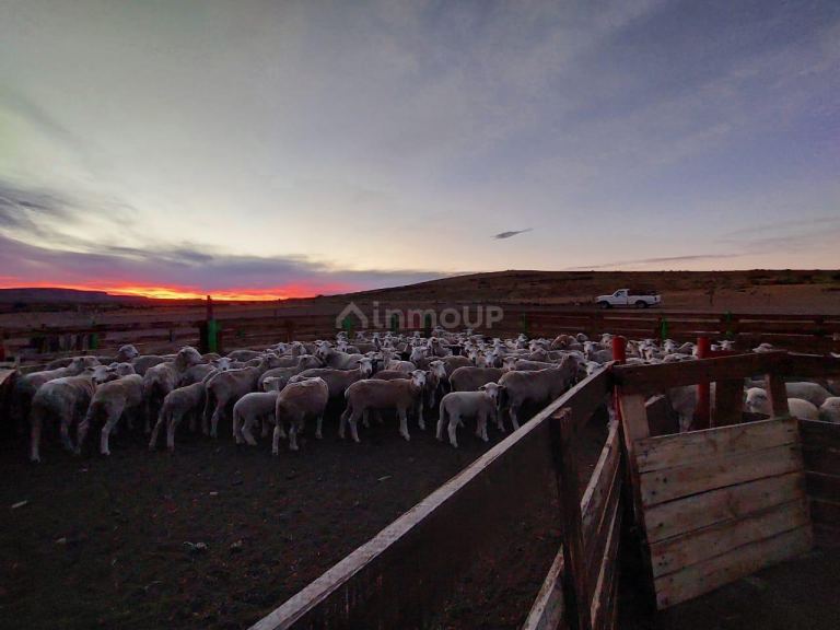 Campo en Venta en Deseado, Santa Cruz