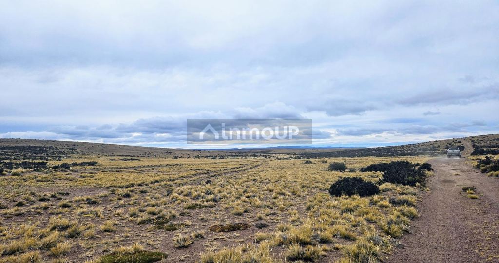 Campo en Venta en Deseado, Santa Cruz