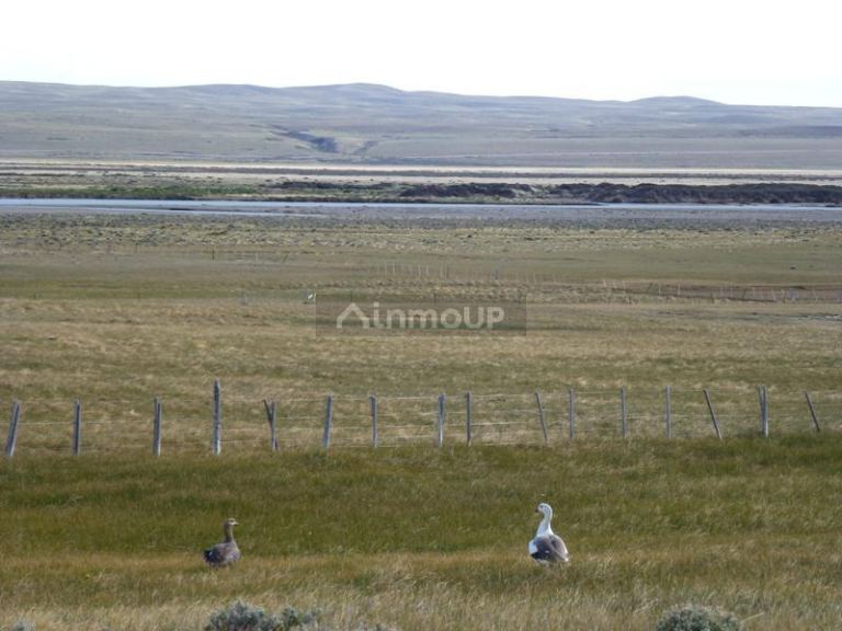 Campo en Venta en Lago Argentino, Santa Cruz