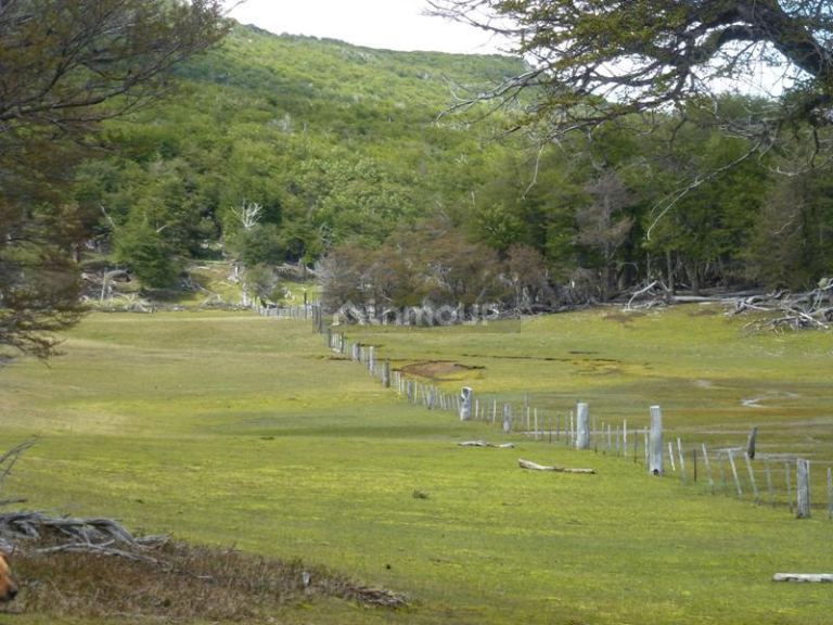 Campo en Venta en Lago Argentino, Santa Cruz