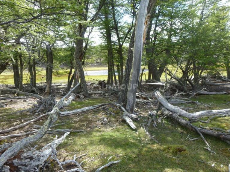 Campo en Venta en Lago Argentino, Santa Cruz
