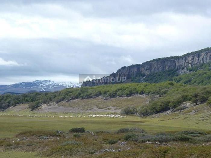 Campo en Venta en Lago Argentino, Santa Cruz