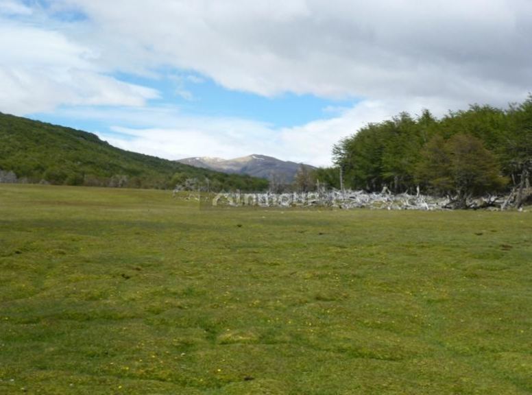 Campo en Venta en Lago Argentino, Santa Cruz