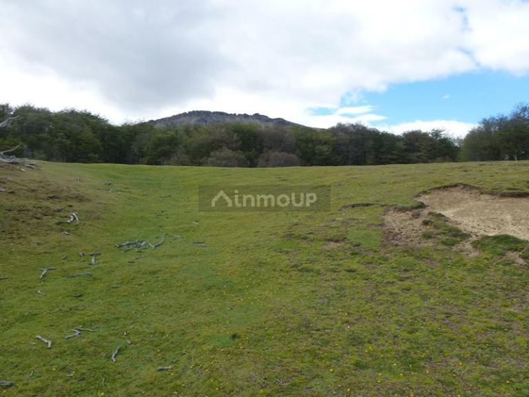 Campo en Venta en Lago Argentino, Santa Cruz