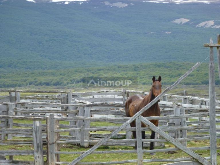 Campo en Venta en Lago Argentino, Santa Cruz