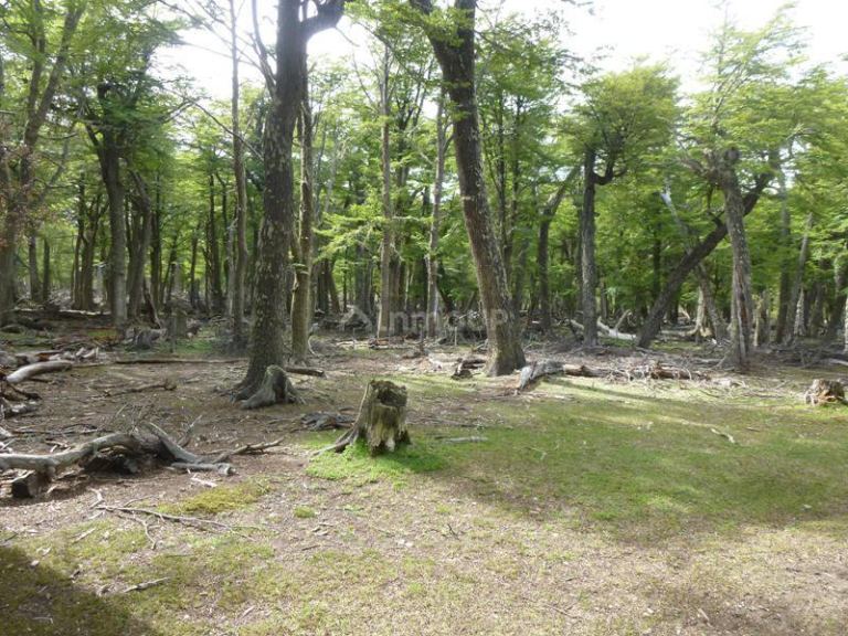 Campo en Venta en Lago Argentino, Santa Cruz