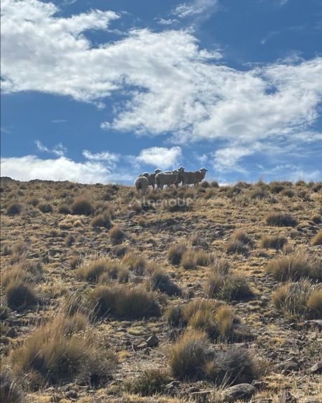 Campo en Venta en Sarmiento, Chubut