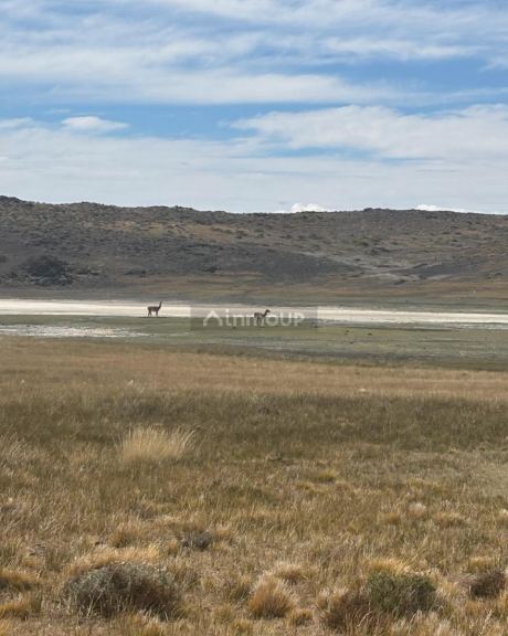 Campo en Venta en Sarmiento, Chubut