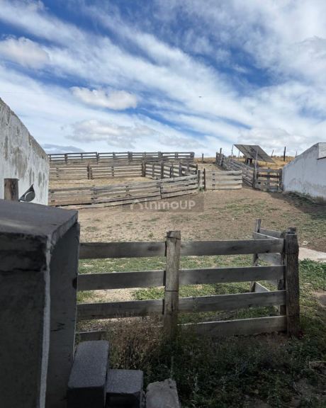 Campo en Venta en Sarmiento, Chubut
