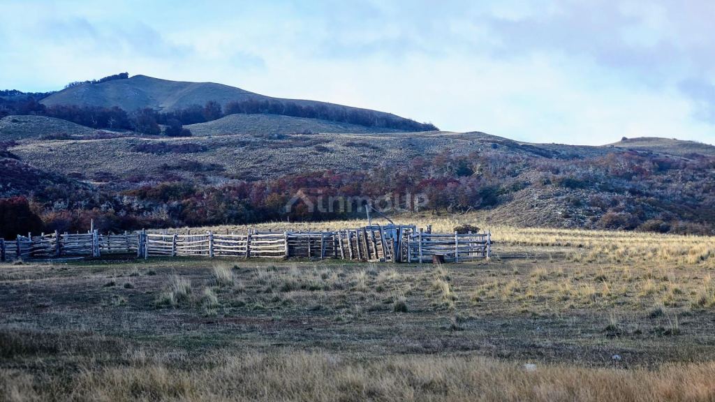 Campo en Venta en Tehuelches, Chubut