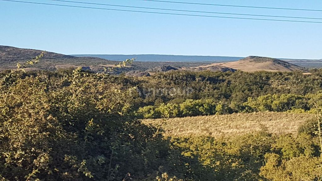 Campo en Venta en Tehuelches, Chubut
