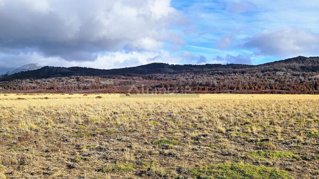 Campo en Venta en Tehuelches, Chubut
