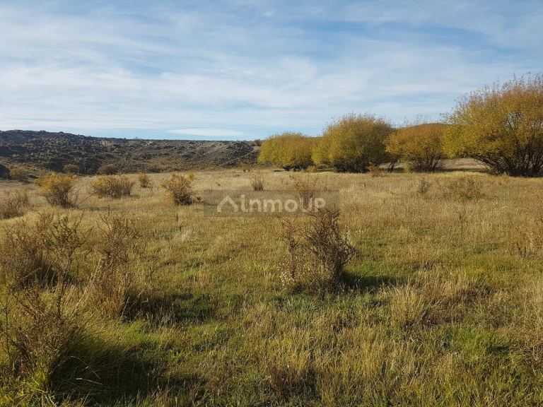 Campo en Venta en Tehuelches, Chubut