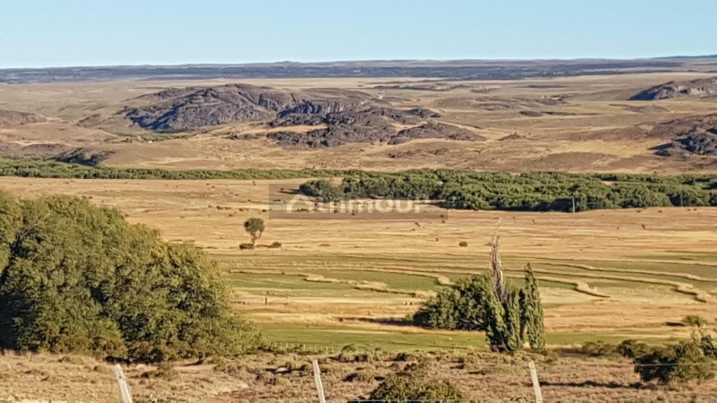 Campo en Venta en Tehuelches, Chubut