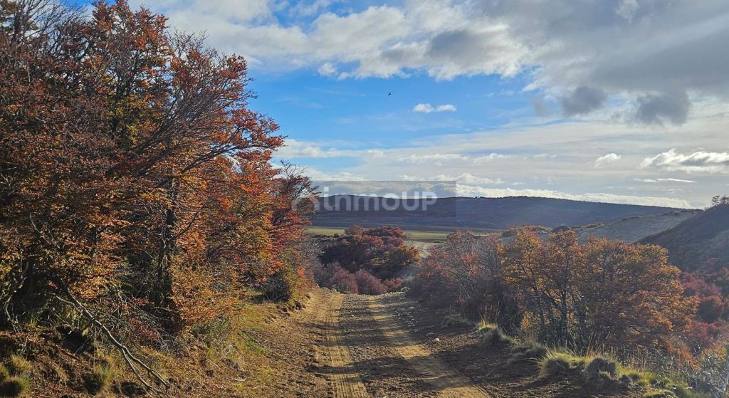 Campo en Venta en Tehuelches, Chubut