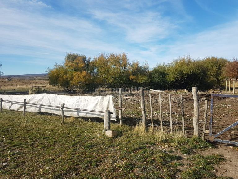 Campo en Venta en Tehuelches, Chubut