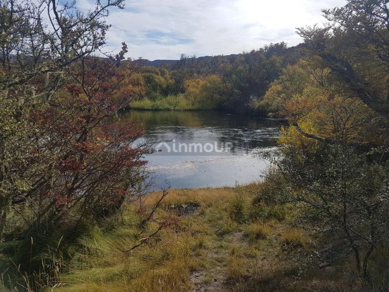 Campo en Venta en Tehuelches, Chubut