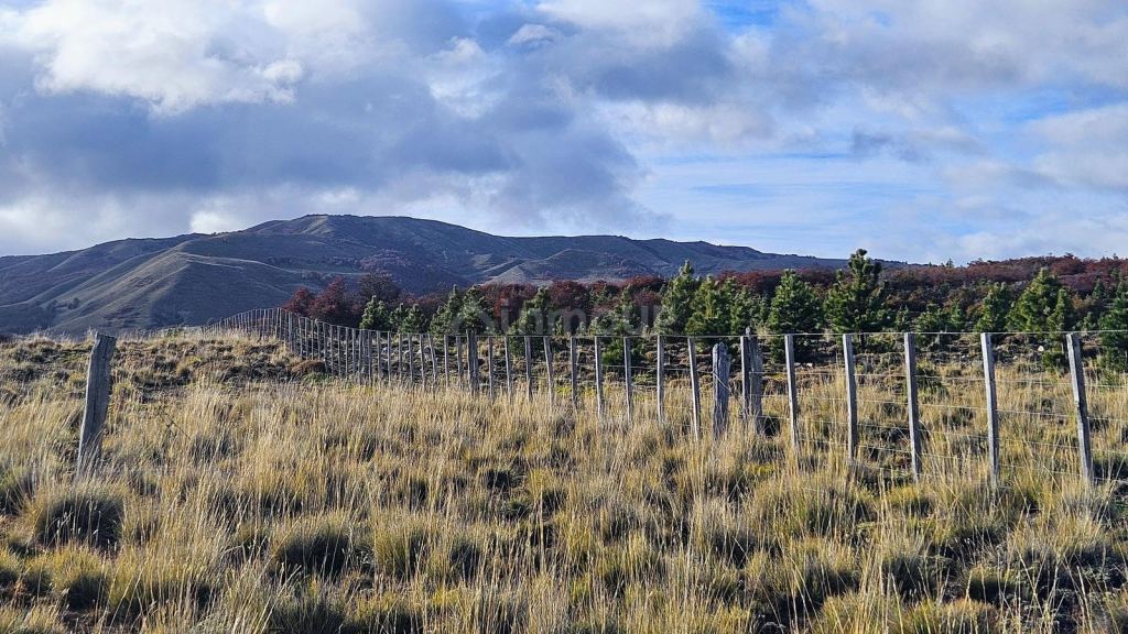 Campo en Venta en Tehuelches, Chubut