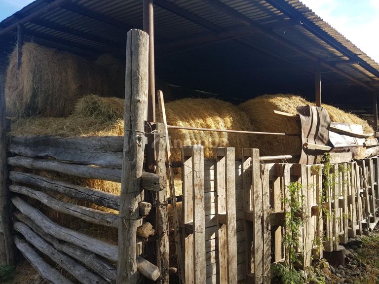 Campo en Venta en Tehuelches, Chubut