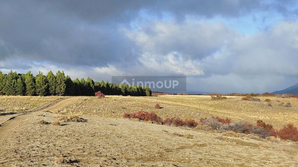 Campo en Venta en Tehuelches, Chubut