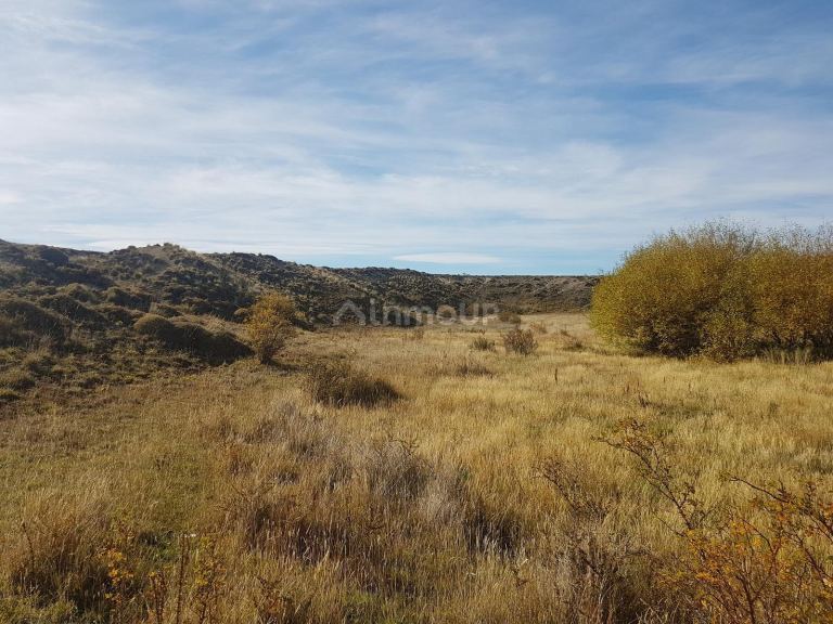 Campo en Venta en Tehuelches, Chubut