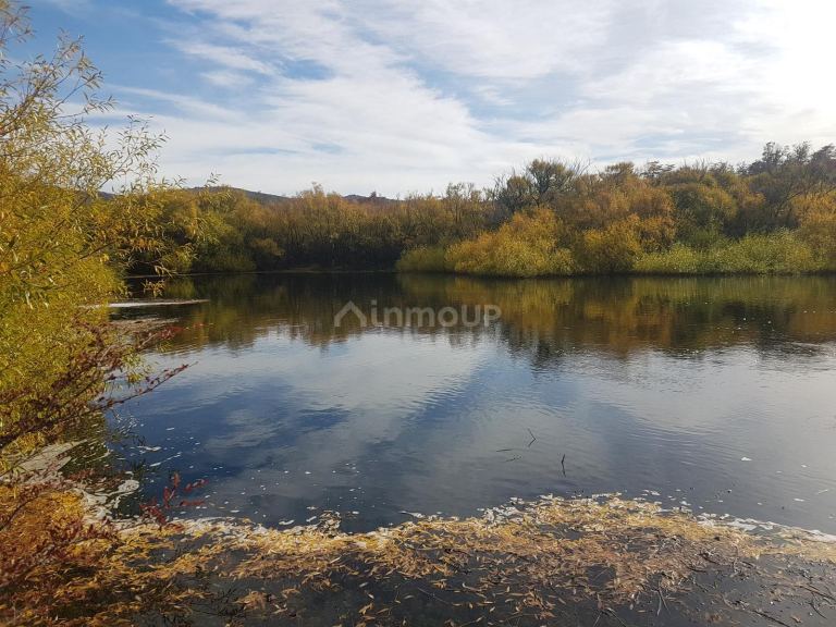 Campo en Venta en Tehuelches, Chubut