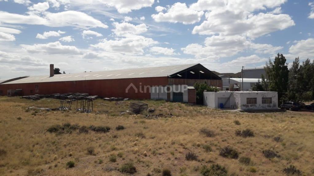 Galpon en Venta en Escalante, Chubut