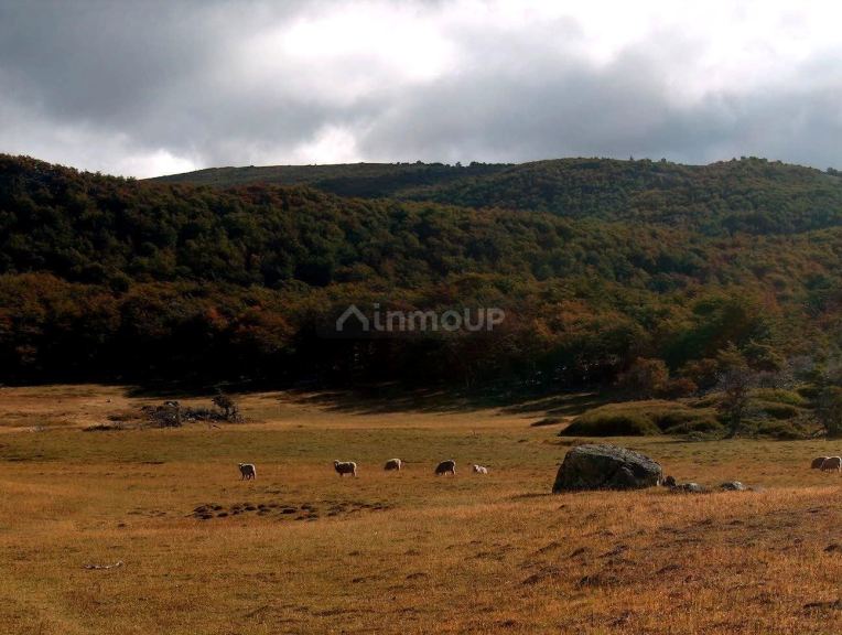 Campo en Venta en Rio Chico, Santa Cruz