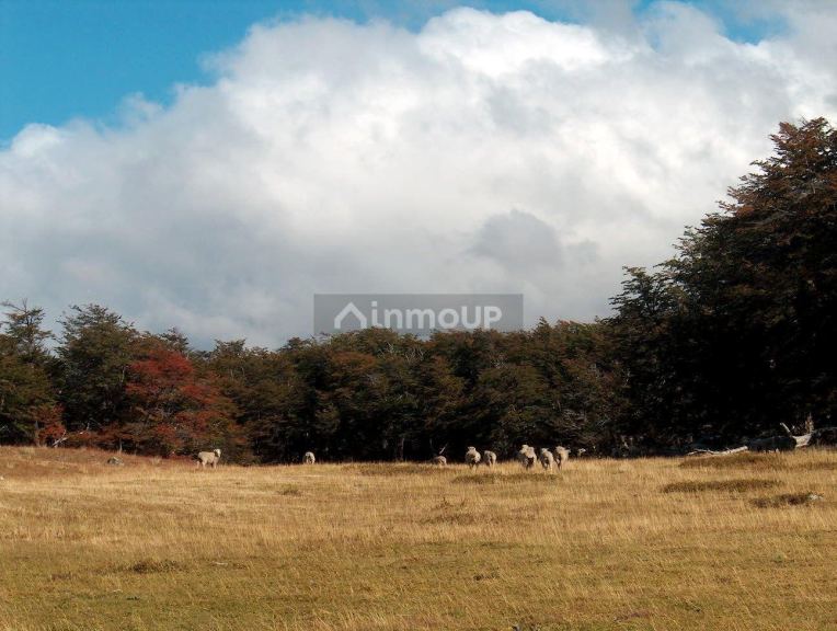 Campo en Venta en Rio Chico, Santa Cruz