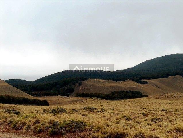 Campo en Venta en Rio Chico, Santa Cruz
