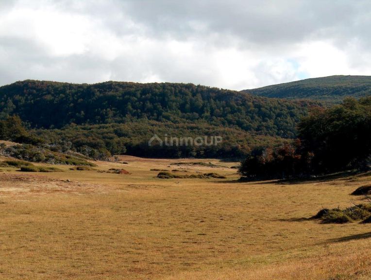 Campo en Venta en Rio Chico, Santa Cruz