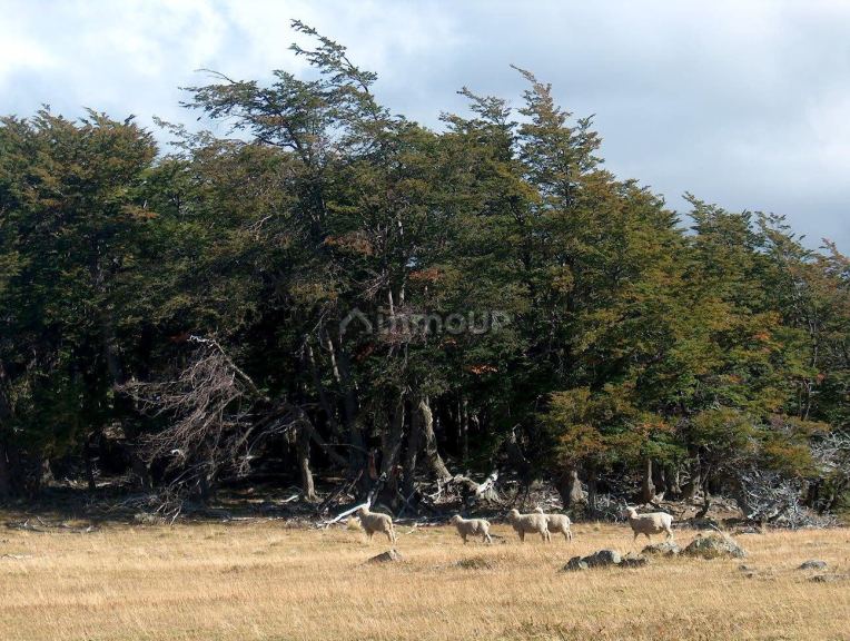 Campo en Venta en Rio Chico, Santa Cruz